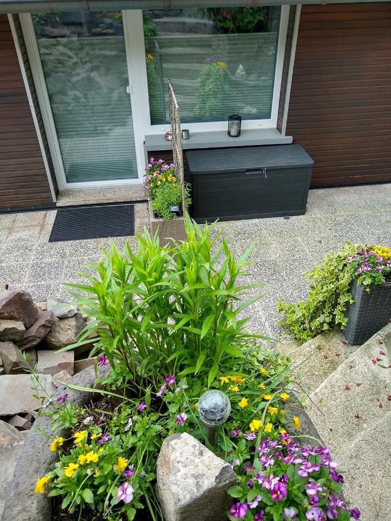 Ferienwohnung Lavendel Cochem Bagian luar foto